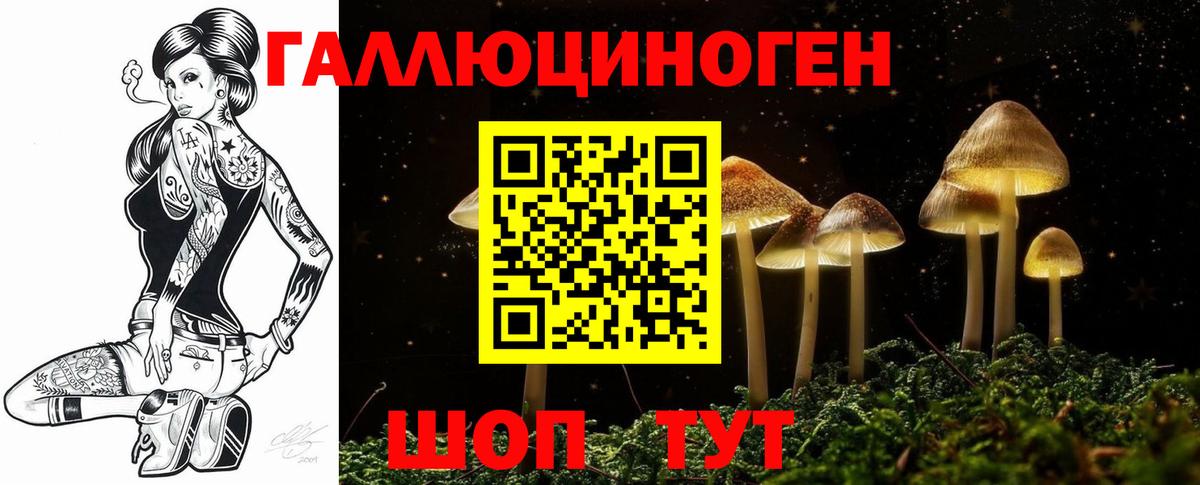 Псилоцибиновые грибы Cubensis Сарапул
