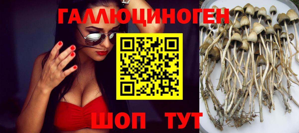 Сарапул  Галлюциногенные грибы MAGIC MUSHROOMS  Вход с VPN 